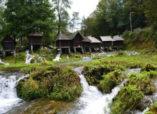 The Sultan’s Paranoia