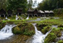 The Author Who Exposed the Sultan