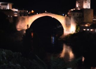 Dogs Protected by Belief